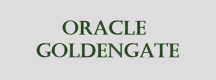 Oracle GoldenGate Training in Luxembourg