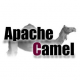 Image for Apache Camel category