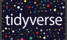 Tidyverse Training in Luxembourg