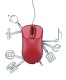 Web Services Training in Luxembourg